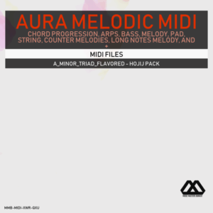 Aura - 4 Chords - 3 Notes-Chord - 16 Bars - A_Minor_Triad_Flavored - Hojij Pack