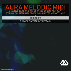 Aura - 4 Chords - 3 Notes-Chord - 16 Bars - B_Iwato_Flavored - Tiget Pack