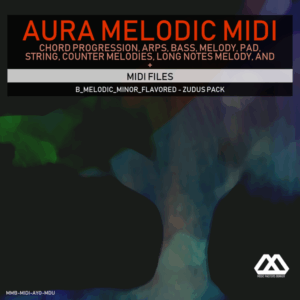 Aura - 4 Chords - 3 Notes-Chord - 16 Bars - B_Melodic_Minor_Flavored - Zudus Pack