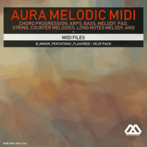 Aura - 4 Chords - 3 Notes-Chord - 16 Bars - B_Minor_Pentatonic_Flavored - Vejif Pack