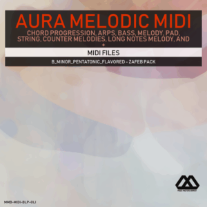Aura - 4 Chords - 3 Notes-Chord - 16 Bars - B_Minor_Pentatonic_Flavored - Zafeb Pack