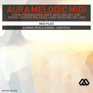 Aura - 4 Chords - 3 Notes-Chord - 16 Bars - B_Minor_Triad_Flavored - Sarip Pack