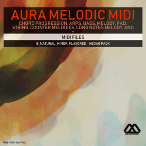 Aura - 4 Chords - 3 Notes-Chord - 16 Bars - B_Natural_Minor_Flavored - Hedag Pack