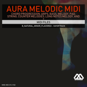 Aura - 4 Chords - 3 Notes-Chord - 16 Bars - B_Natural_Minor_Flavored - Vayop Pack