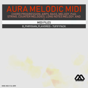 Aura - 4 Chords - 3 Notes-Chord - 16 Bars - B_Phrygian_Flavored - Tufif Pack