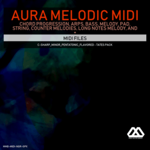 Aura - 4 Chords - 3 Notes-Chord - 16 Bars - C-sharp_Minor_Pentatonic_Flavored - Tates Pack