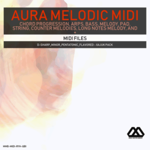 Aura - 4 Chords - 3 Notes-Chord - 16 Bars - D-sharp_Minor_Pentatonic_Flavored - Xajuk Pack