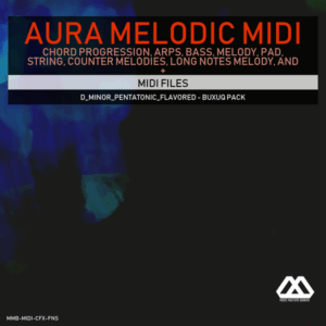 Aura - 4 Chords - 3 Notes-Chord - 16 Bars - D_Minor_Pentatonic_Flavored - Buxuq Pack