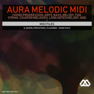 Aura - 4 Chords - 3 Notes-Chord - 16 Bars - D_Minor_Pentatonic_Flavored - Kinim Pack