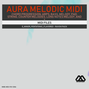 Aura - 4 Chords - 3 Notes-Chord - 16 Bars - E_Minor_Pentatonic_Flavored - Ravoh Pack