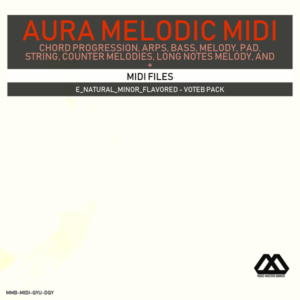 Aura - 4 Chords - 3 Notes-Chord - 16 Bars - E_Natural_Minor_Flavored - Voteb Pack